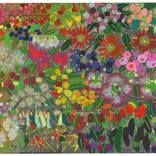 FLOWERS ON YUGAMBEH COUNTRY vii: Rainforest by Sarah Beetson