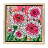 500 Native Australians: Albany Daisy by Sarah Beetson