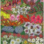 Aotearoa Flowers by Sarah Beetson