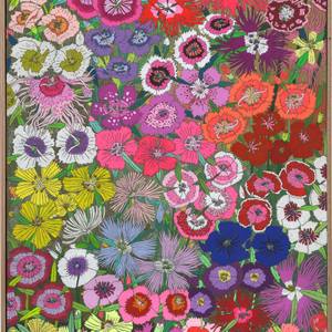 Dianthus/Nadeshiko - Ideal Woman