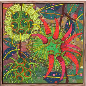 500 Native Australians: Eucalyptus Lehmanni (Alien Octopus)