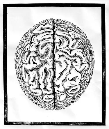 The Human Brain thumb