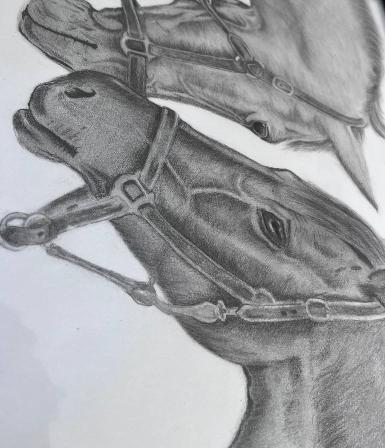 Original Realism Animal Drawing by Amit Solanki
