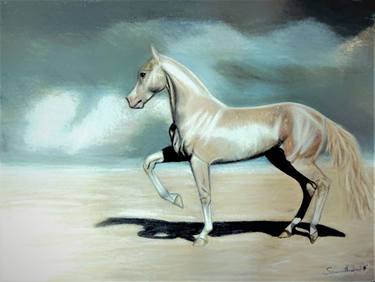 Print of Realism Horse Drawings by Samantha Linn