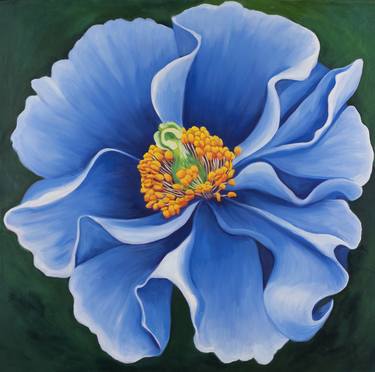 Himalayan Blue Yellow Poppy Oil on Canvas thumb