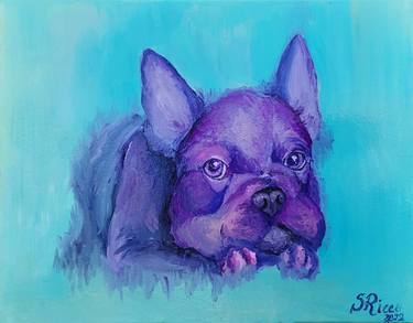 French bulldog. Sweet puppy portrait thumb