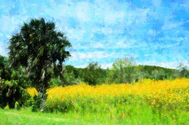 Print of Impressionism Landscape Photography by Florene Welebny