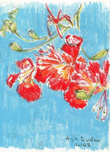 Original Impressionism Floral Drawings by Anna Rudko