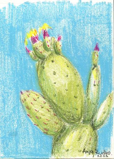 Cactus blooms thumb