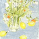 Collection Still life