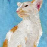 Collection Animals oil painting