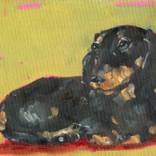 Collection Animals oil painting