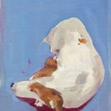 Collection Animals oil painting