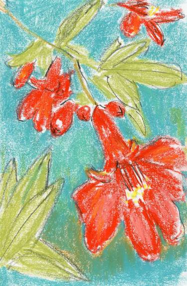 Original Impressionism Floral Drawings by Anna Rudko