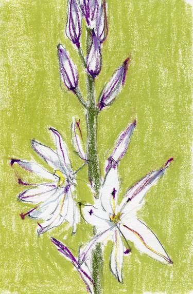 Print of Floral Drawings by Anna Rudko