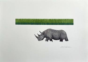 Original Figurative Animal Drawings by Javier de la Rosa