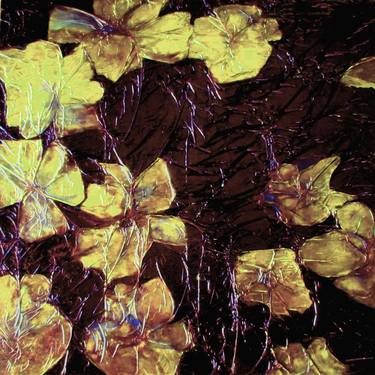 Print of Fine Art Floral Photography by jean-yves verne