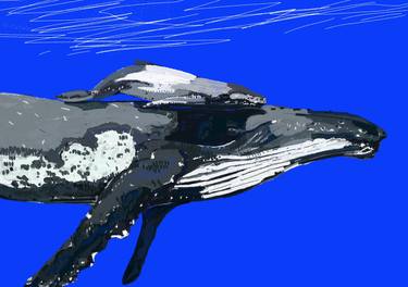Blue Whale Print - Limited Edition of 250 thumb