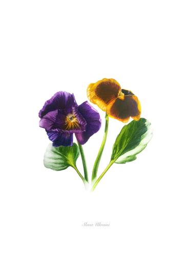 Print of Fine Art Botanic Paintings by David Bou