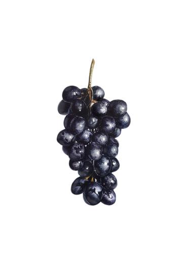 Black grapes thumb