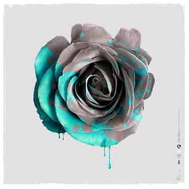 Painted Rose [Stone] - Limited Edition of 50 thumb