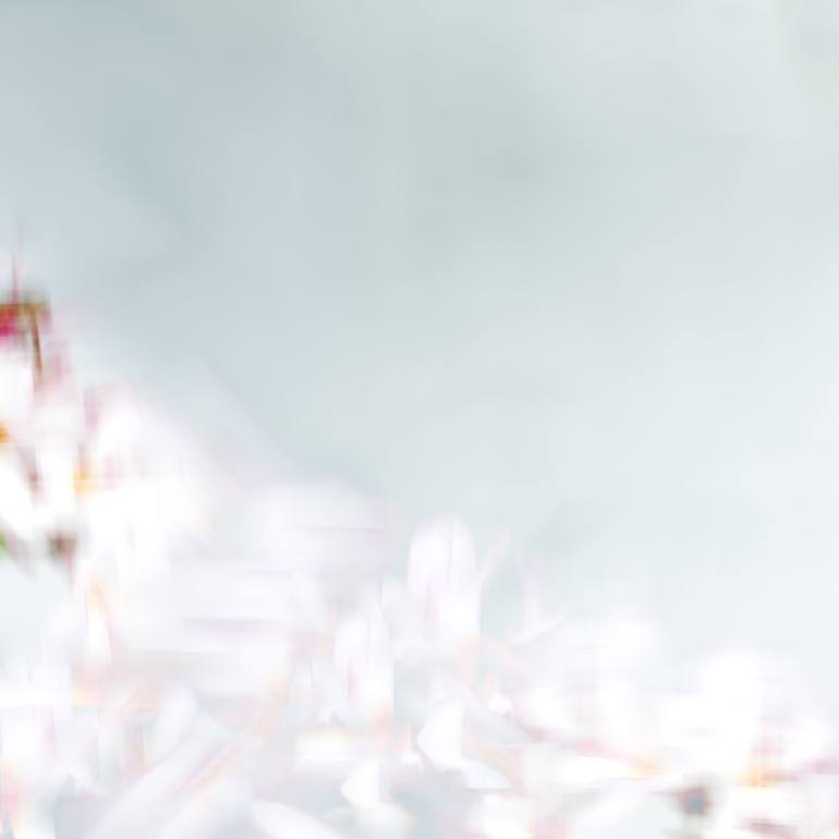 Original Abstract Botanic Photography by Mitch Eckert
