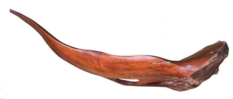 Original Abstract Nature Sculpture by Leigh Morgan