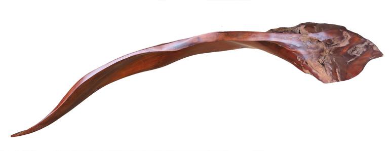 Original Abstract Nature Sculpture by Leigh Morgan