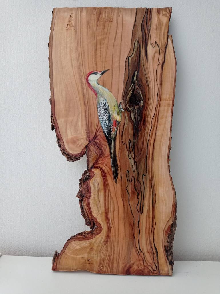 Woodpecker - olive wood Wall Plaques Sculpture - Print