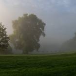 THE FOG (Chateau Orquevaux) by Russel Kiehn