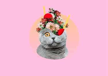 Flower Cat - Limited Edition of 1 thumb