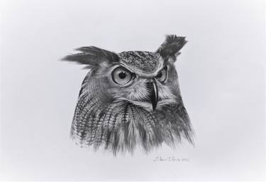 Eagle Owl thumb