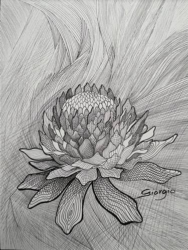 Protea thumb