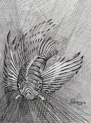 Original Figurative Fish Drawings by Giorgio Landa