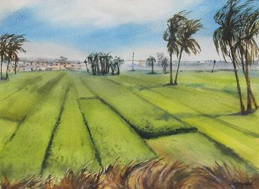 Fields of Upper Egypt thumb
