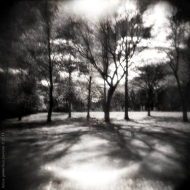 "going green" : arcadian holga-scapes thumb