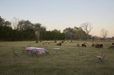 Print of Surrealism Animal Photography by Juan Francisco Sanchez