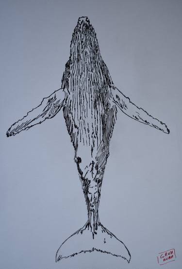 Print of Animal Drawings by Gaka Mira