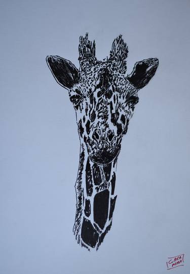 Print of Figurative Animal Drawings by Gaka Mira