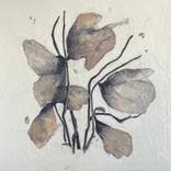 Collection Earthy Minimalism