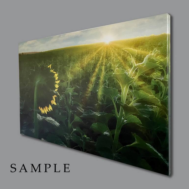 Original Photorealism Landscape Photography by Vlad Durniev