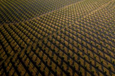 Print of Aerial Photography by Rich Caldwell