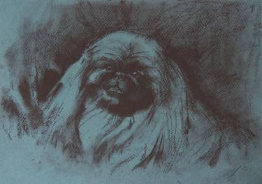 " PEKINGESE " ORIGINAL PAINTING, GRAPHICS, COAL, DOG, DOGGER thumb