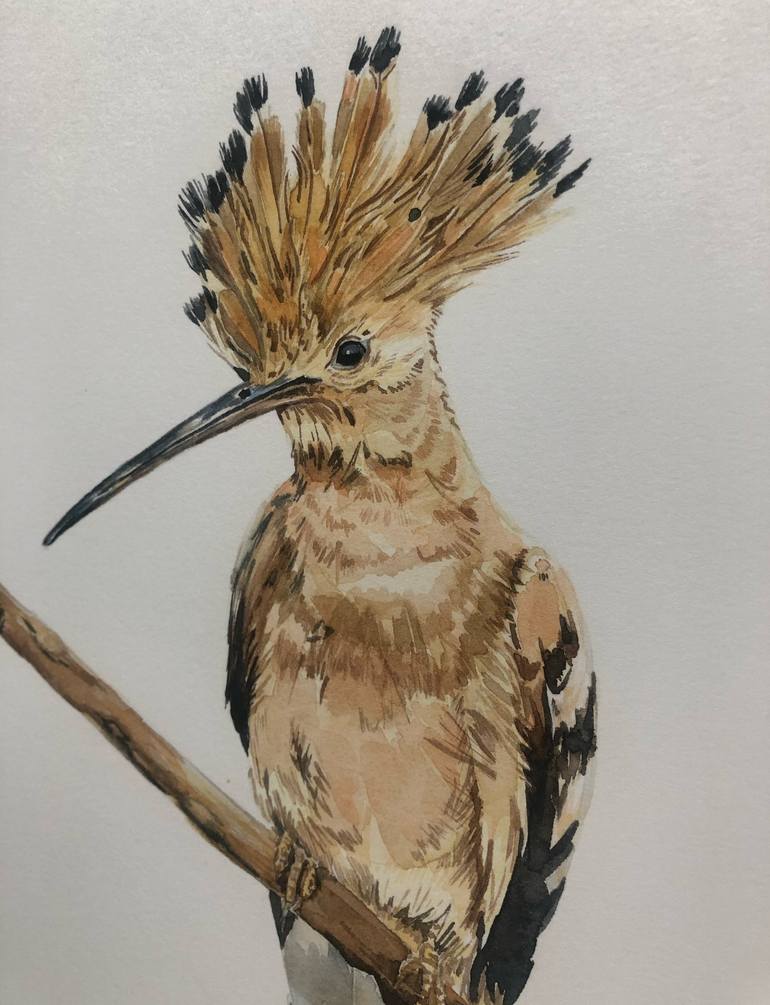 A hoopoe bird Painting by Irina Babintseva | Saatchi Art