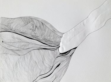 Original Conceptual Body Drawings by Flavia Bertorello