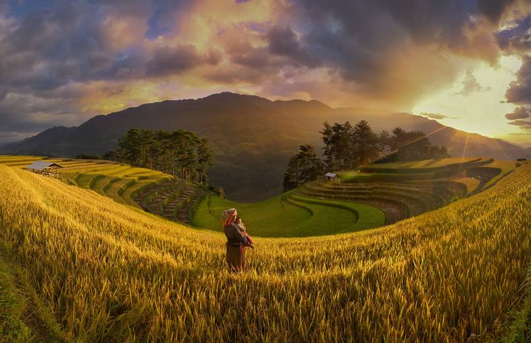 View in a Room Artwork