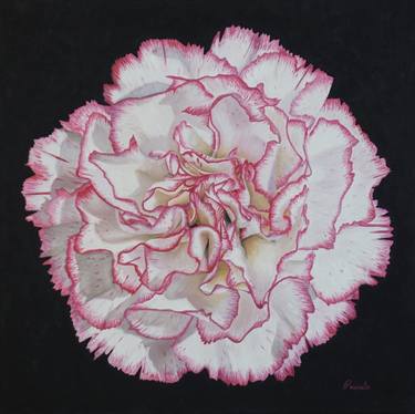 Original Floral Painting by Pascale Calcutt