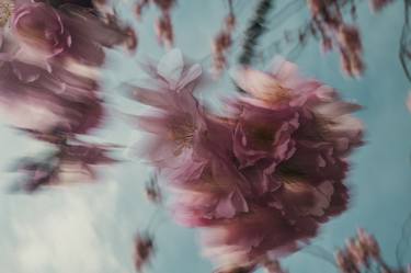 Original Floral Photography by Oana Baković