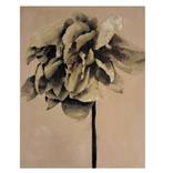 Collection Fair Director's Preview - The Other Art Fair Chicago 2024