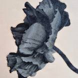 Violet by Rachel Daly